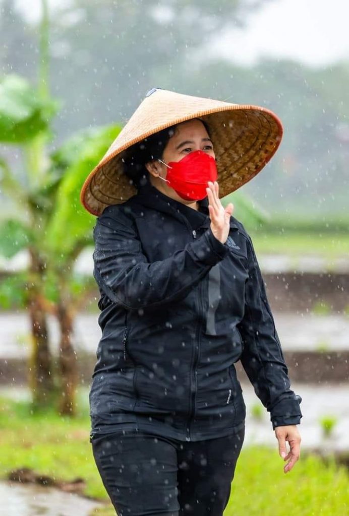 Puan Bersama Petani Tanam Padi Di Tengah Hujan Petani Id