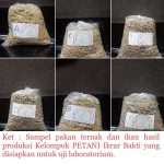 Petani Kabupaten Semarang Bertahan Untuk Menjadi Petani Agropolitan 