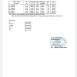 WhatsApp Image 2023-06-30 at 17.07.45