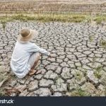 Jerit Luka Petani Di Hari Tani Nasional
