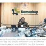 WhatsApp Image 2025-03-20 at 17.48.49