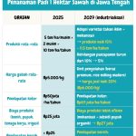 WhatsApp Image 2025-10-04 at 17.57.12 (2)